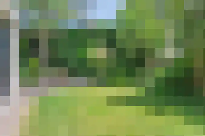 Beethovengaarde 111 Oss thumbnail 35