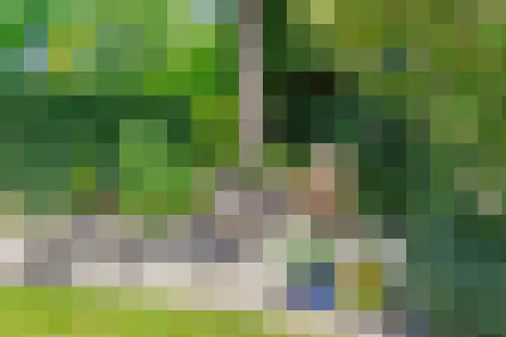 Beethovengaarde 111 Oss thumbnail 37
