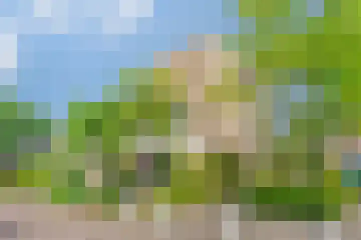 Beethovengaarde 111 Oss thumbnail 41