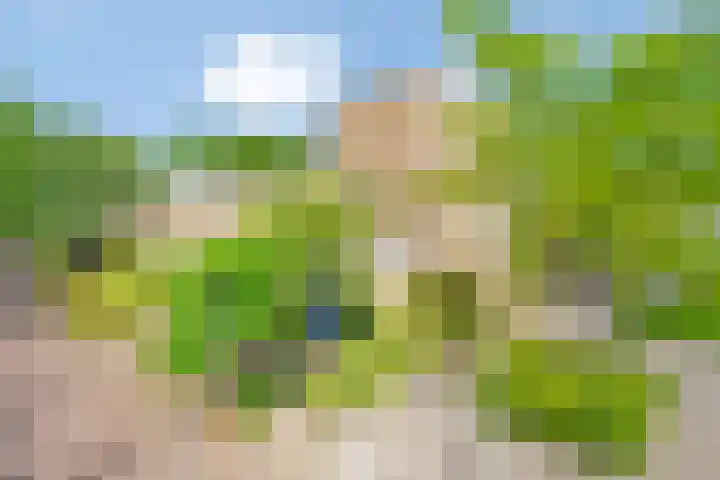Beethovengaarde 111 Oss thumbnail 42