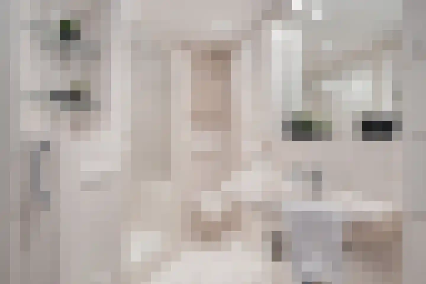 Beethovengaarde 24 Oss thumbnail 18
