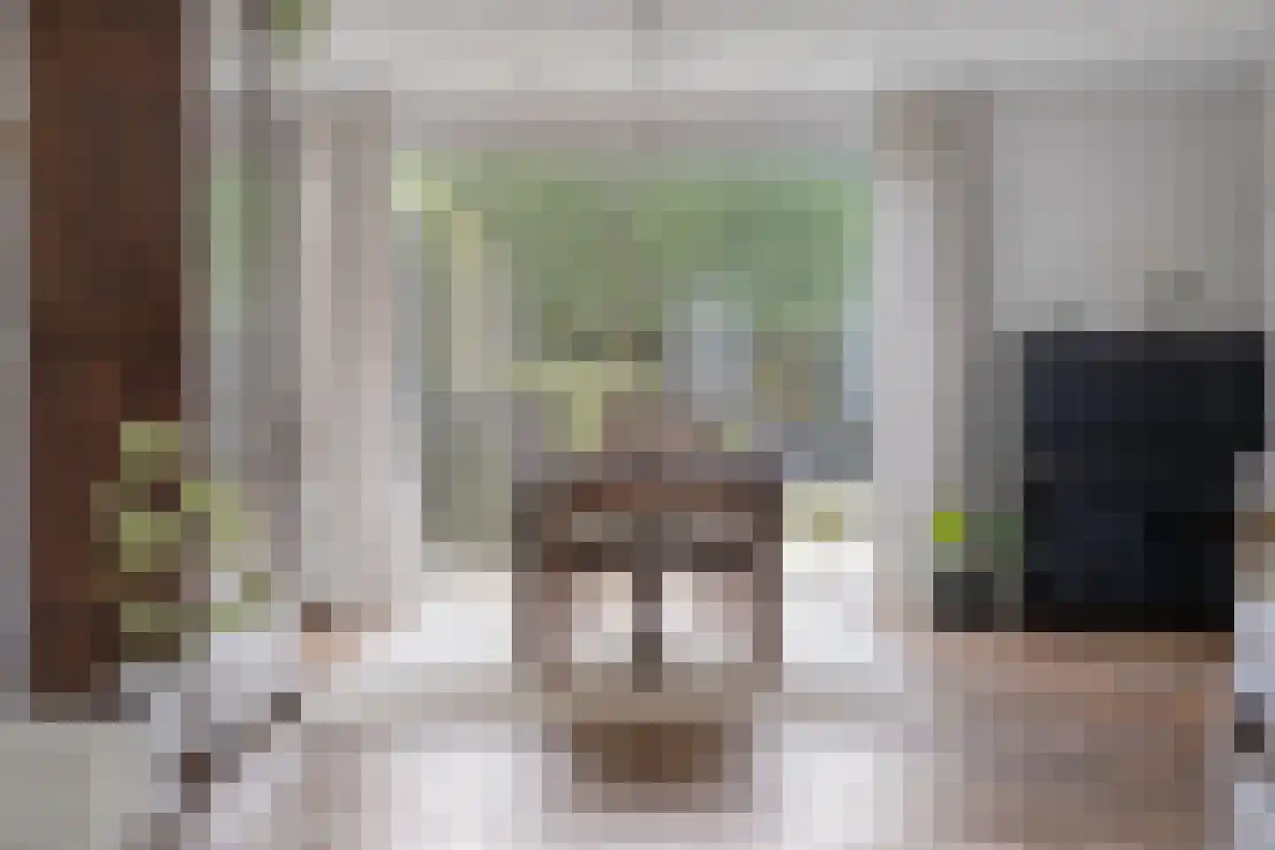 Beethovengaarde 24 Oss thumbnail 7