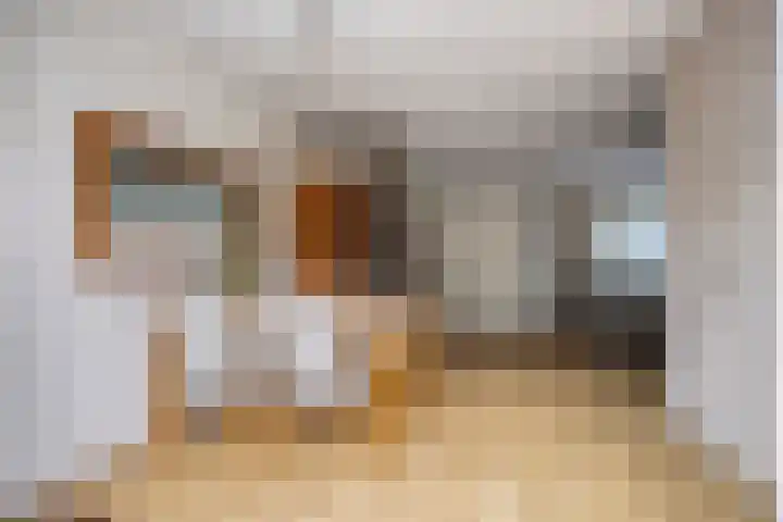 Beethovengaarde 72 Oss thumbnail 12