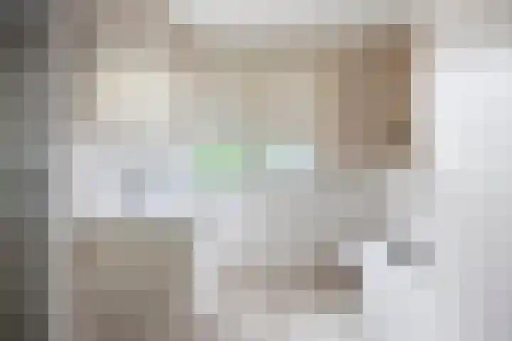 Beethovengaarde 72 Oss thumbnail 30