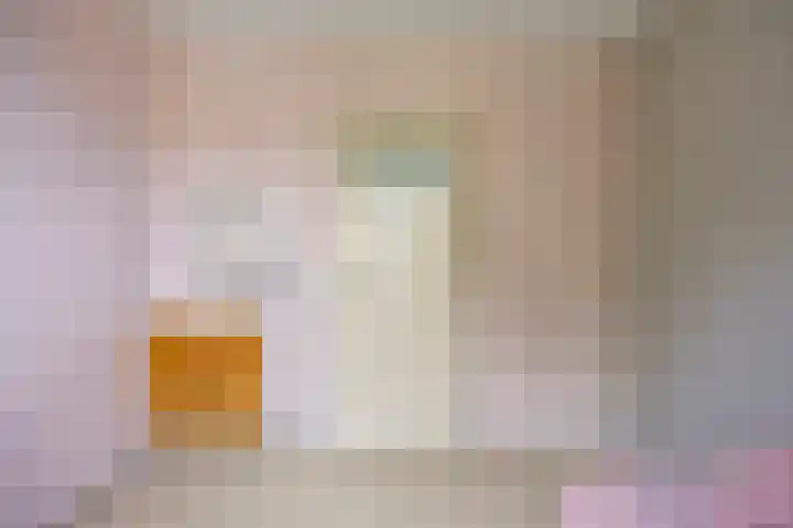 Beethovengaarde 72 Oss thumbnail 33