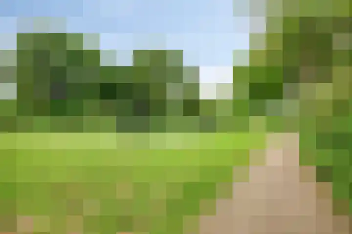 Beethovengaarde 72 Oss thumbnail 41