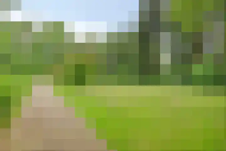 Beethovengaarde 72 Oss thumbnail 42