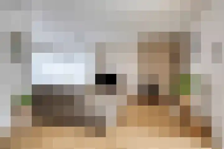 Beethovengaarde 72 Oss thumbnail 7