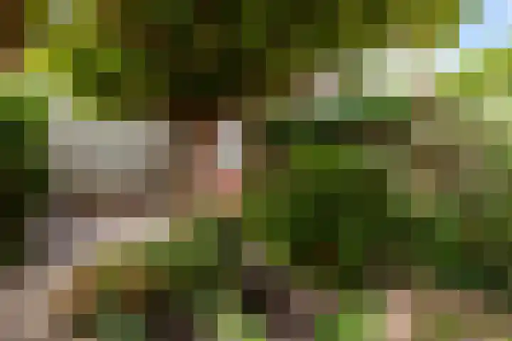 Beethovenhof 18 Gouda thumbnail 33