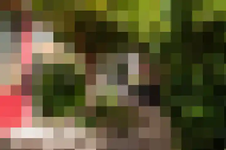 Beethovenhof 18 Gouda thumbnail 36