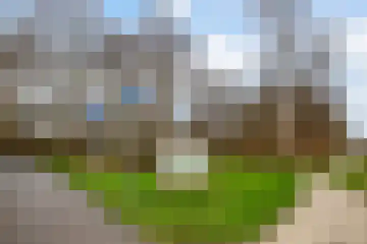 Beethovenhof 18 Gouda thumbnail 38