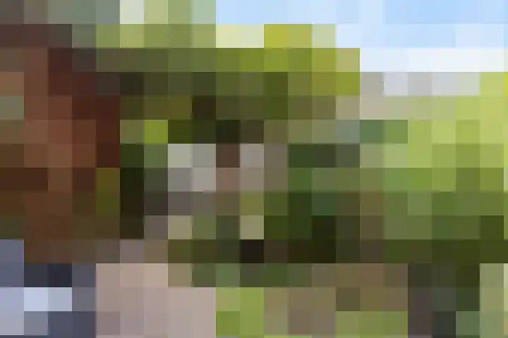 Beethovenhof 18 Gouda thumbnail 4