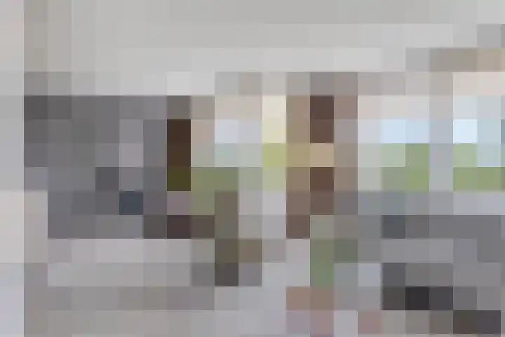 Beethovenhof 39 Terneuzen thumbnail 10