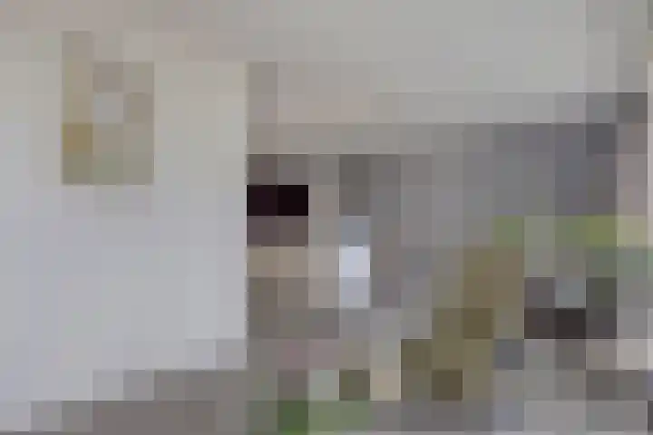 Beethovenhof 39 Terneuzen thumbnail 11