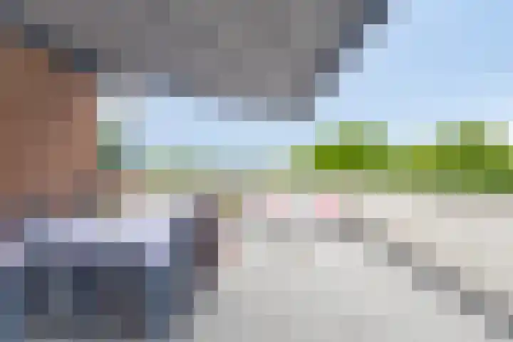 Beethovenhof 39 Terneuzen thumbnail 26