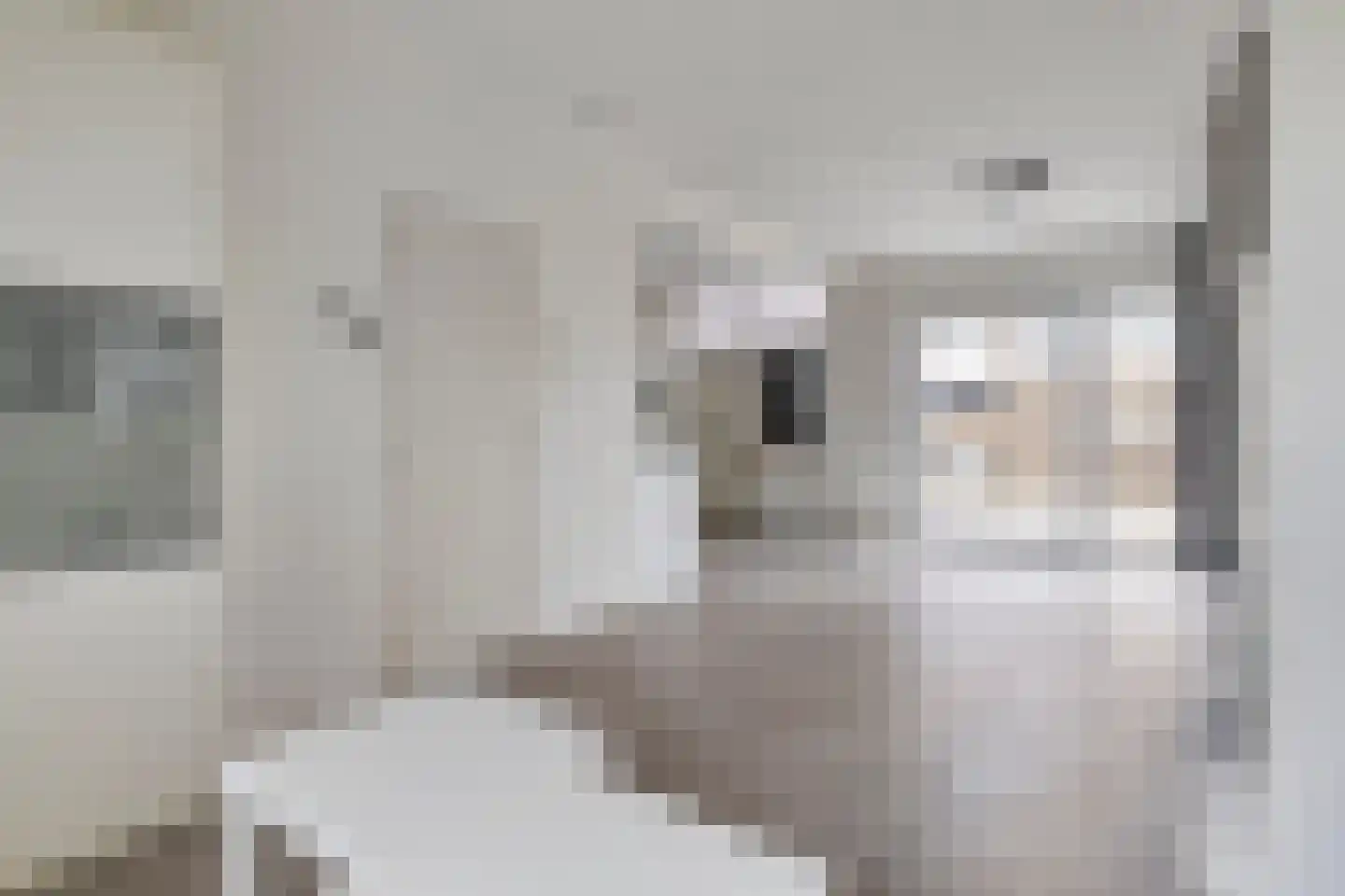 Beethovenhof 40 Terneuzen thumbnail 12
