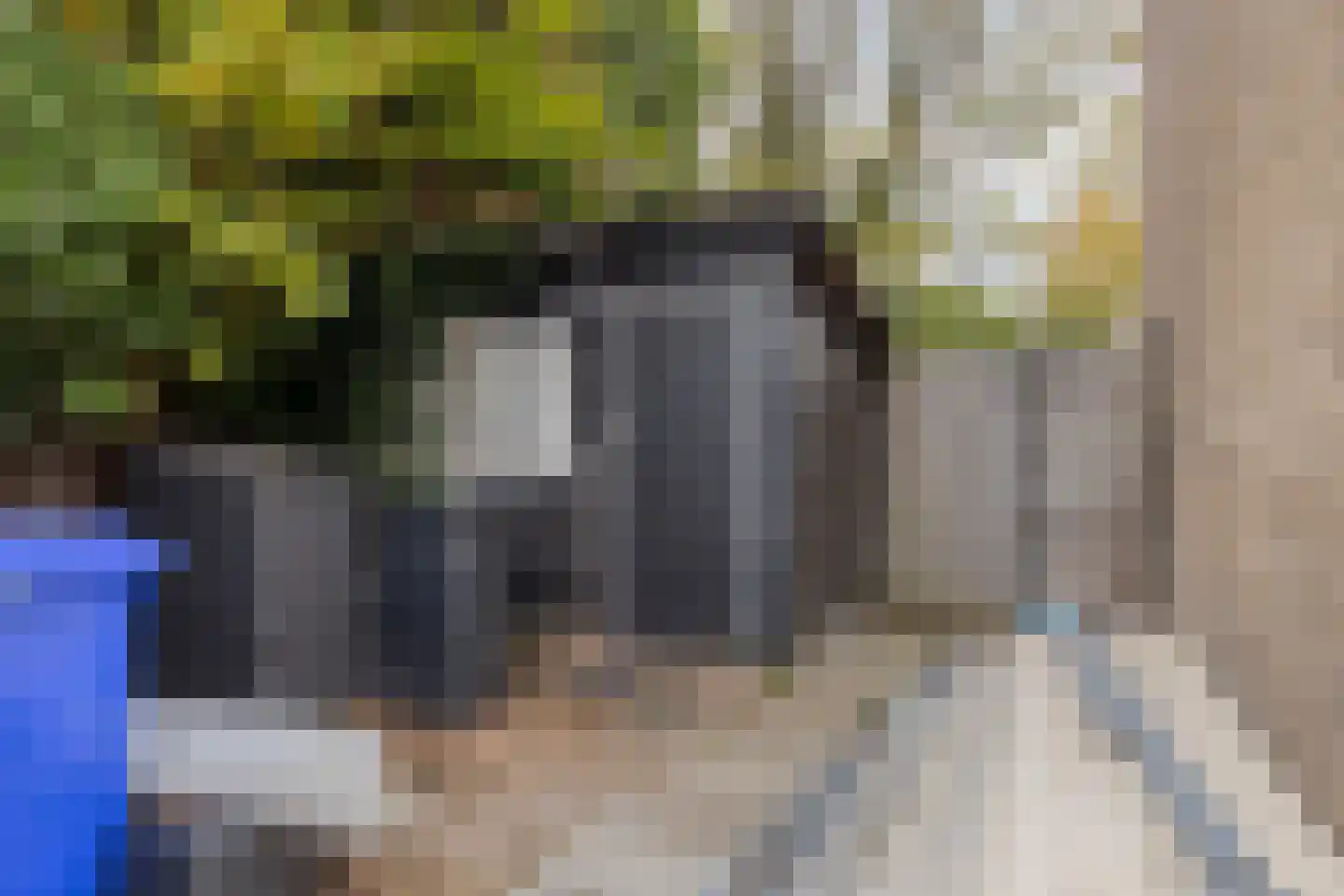Beethovenhof 40 Terneuzen thumbnail 32