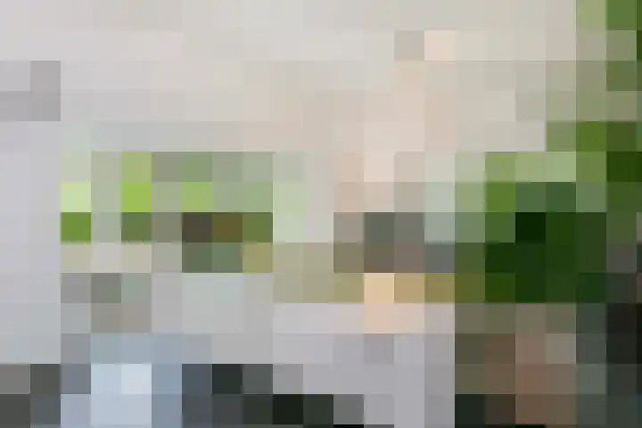 Beethovenlaan 1 Utrecht thumbnail 10