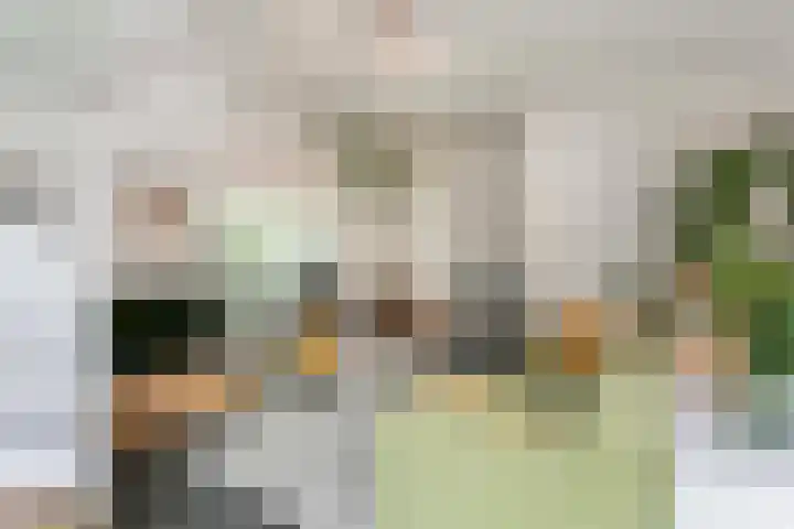Beethovenlaan 1 Utrecht thumbnail 11