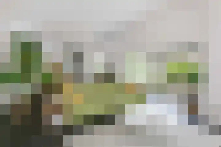 Beethovenlaan 1 Utrecht thumbnail 12