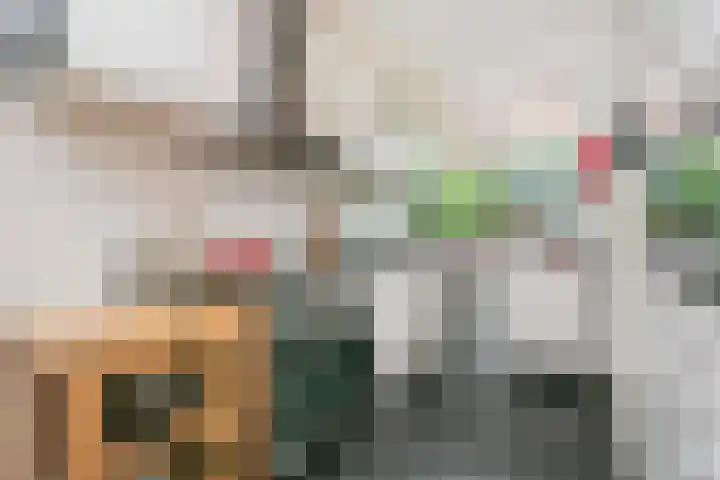 Beethovenlaan 1 Utrecht thumbnail 15