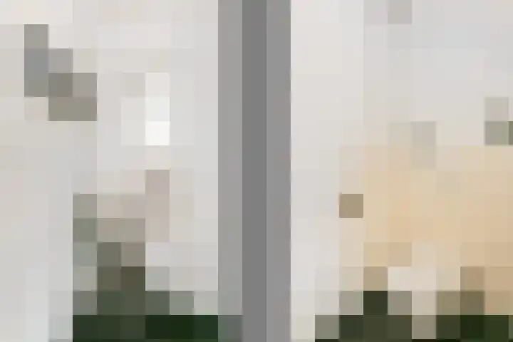Beethovenlaan 1 Utrecht thumbnail 18