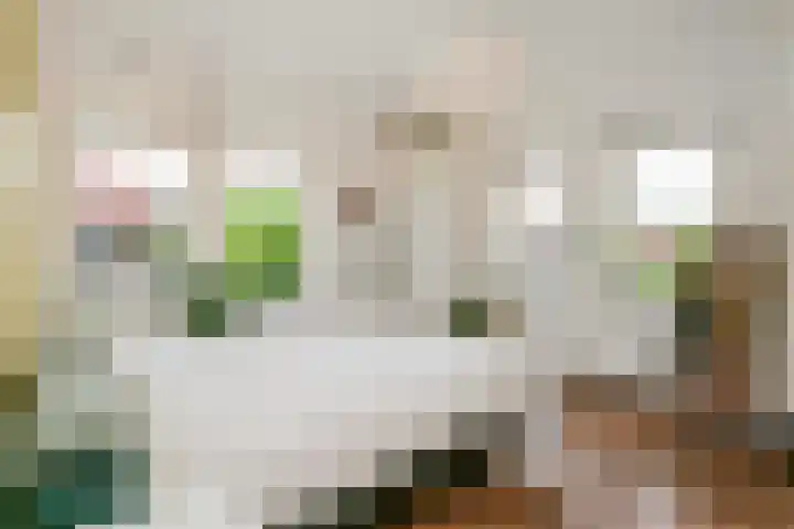 Beethovenlaan 1 Utrecht thumbnail 21
