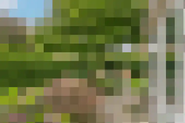 Beethovenlaan 1 Utrecht thumbnail 33