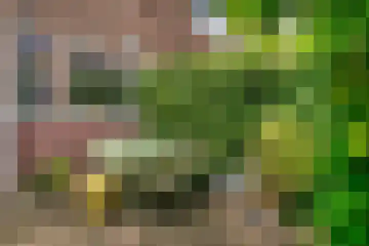 Beethovenlaan 1 Utrecht thumbnail 37