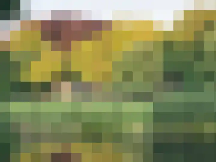 Beethovenlaan 1 Utrecht thumbnail 42