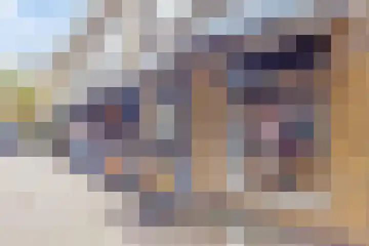 Beethovenlaan 1 Utrecht thumbnail 43