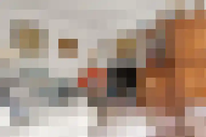 Beethovenlaan 101 Doorwerth thumbnail 21