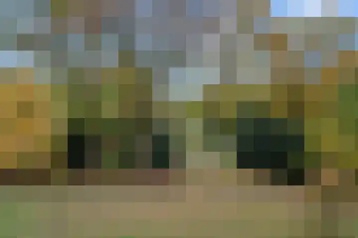 Beethovenlaan 101 Doorwerth thumbnail 31