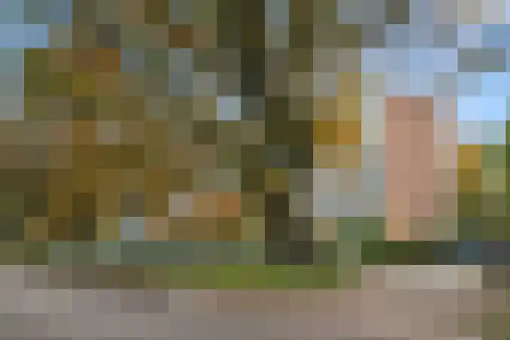 Beethovenlaan 101 Doorwerth thumbnail 4