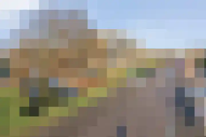 Beethovenlaan 11 D 's-Hertogenbosch thumbnail 27