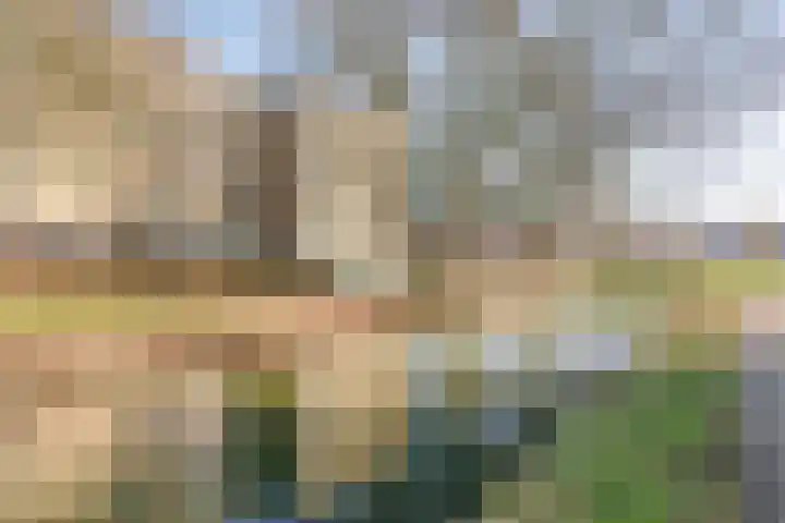 Beethovenlaan 11 D 's-Hertogenbosch thumbnail 28