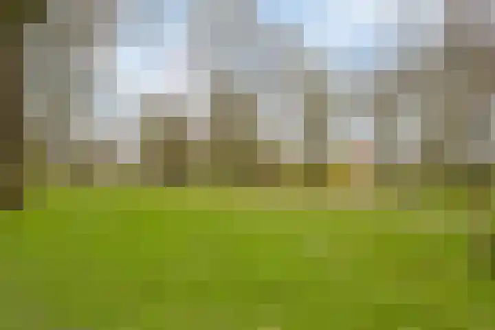 Beethovenlaan 11 D 's-Hertogenbosch thumbnail 32
