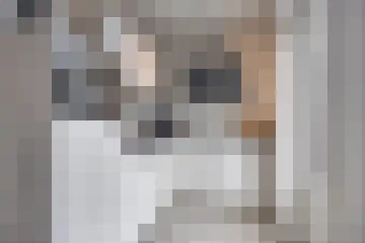 Beethovenlaan 11 Goes thumbnail 10
