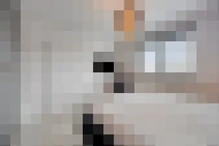 Beethovenlaan 11 Goes thumbnail 14