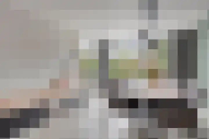 Beethovenlaan 11 Goes thumbnail 8