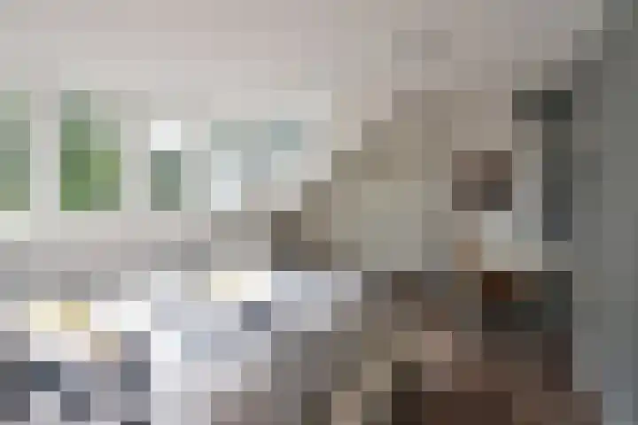 Beethovenlaan 11 Naarden thumbnail 13