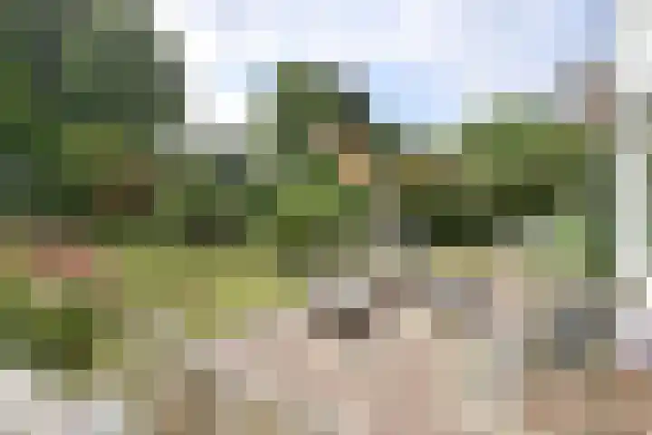 Beethovenlaan 11 Naarden thumbnail 16