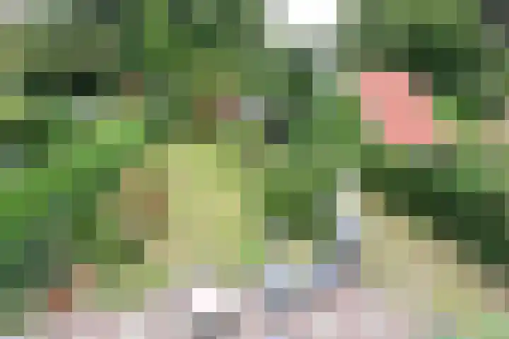 Beethovenlaan 11 Naarden thumbnail 22