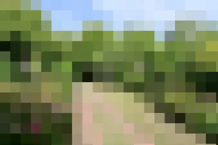 Beethovenlaan 11 Naarden thumbnail 23