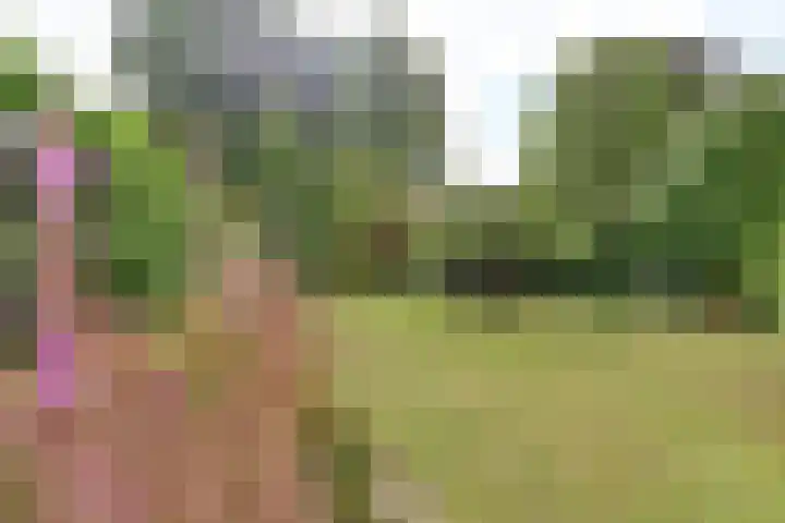 Beethovenlaan 11 Naarden thumbnail 27