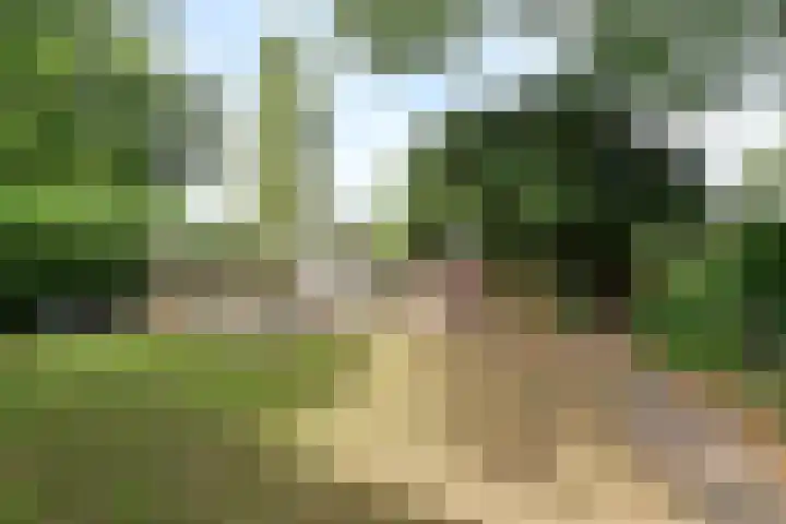 Beethovenlaan 11 Naarden thumbnail 29