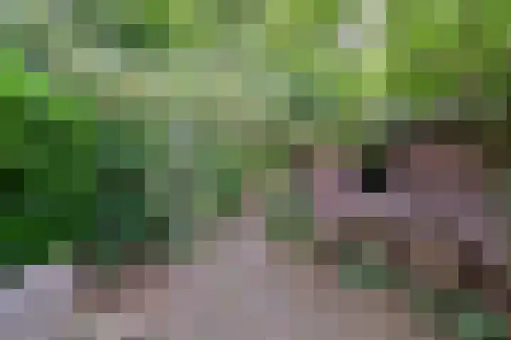 Beethovenlaan 11 Naarden thumbnail 30