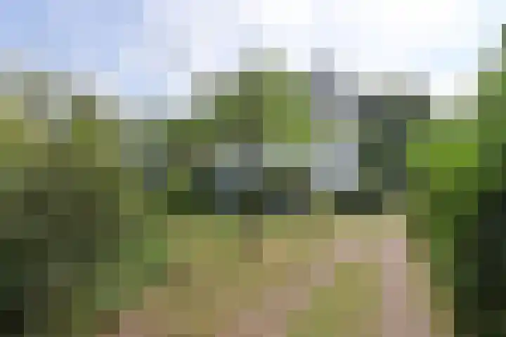Beethovenlaan 11 Naarden thumbnail 4