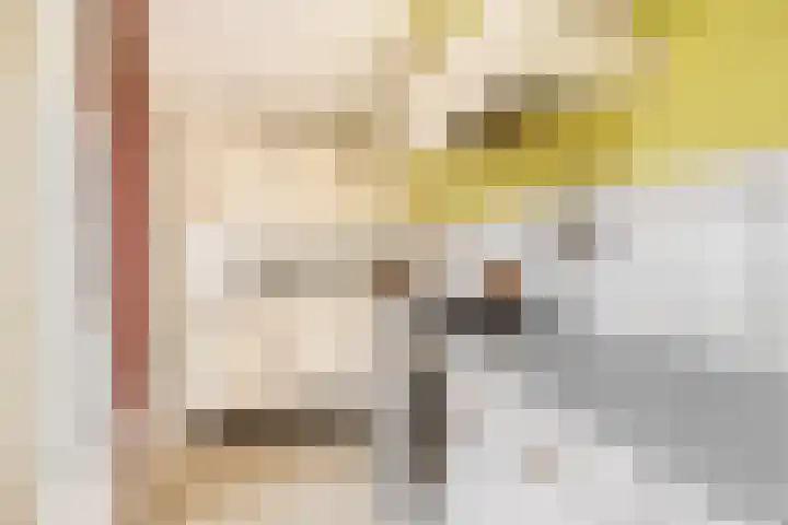 Beethovenlaan 11 Waddinxveen thumbnail 12