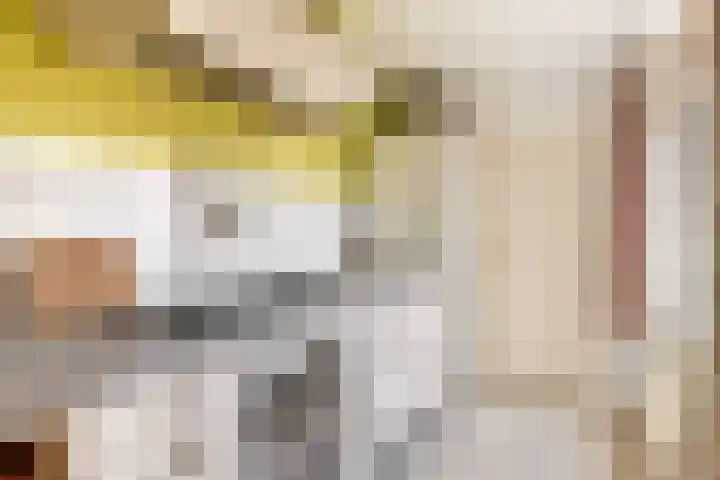 Beethovenlaan 11 Waddinxveen thumbnail 13